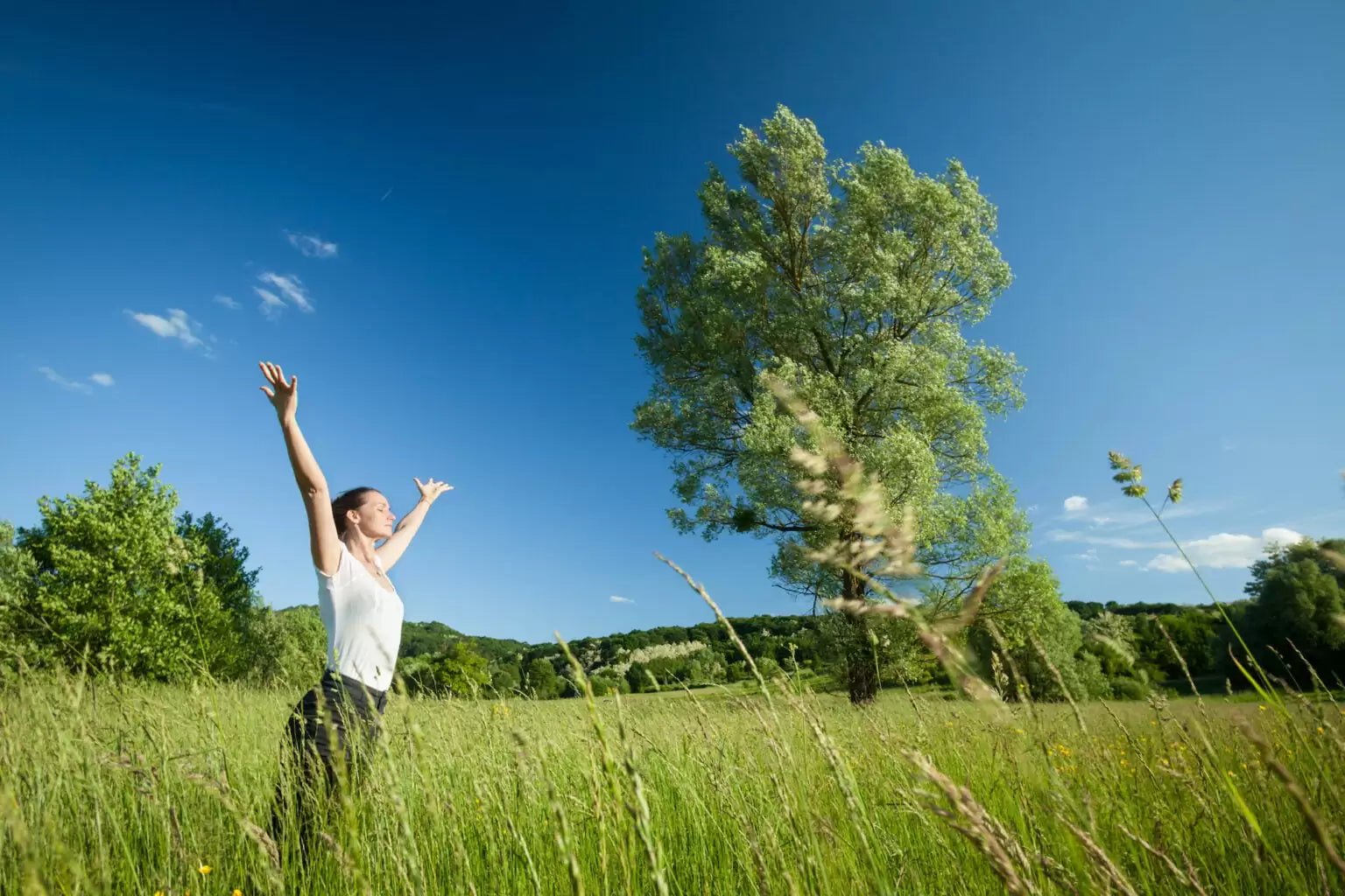 Timpul petrecut in natura – Remediul natural pentru o viata echilibrata si sanatoasa - EVONomad