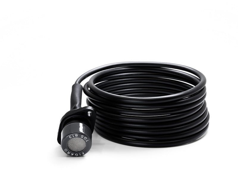 Detector de gaz senzor suplimentar GAS - Pro - EVONomad