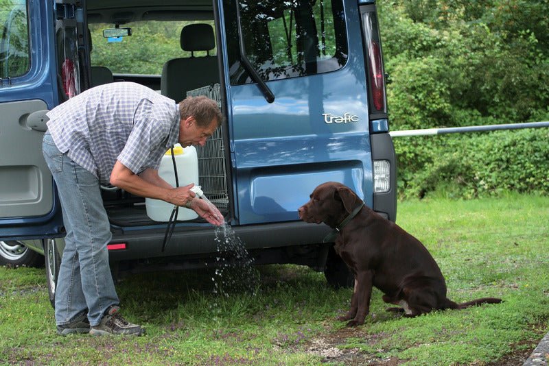 Dus de camping solo - EVONomad