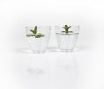 Pahar de apa Estella - EVONomad