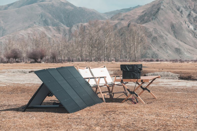 Panou solar bifacial EcoFlow 220W - EVONomad