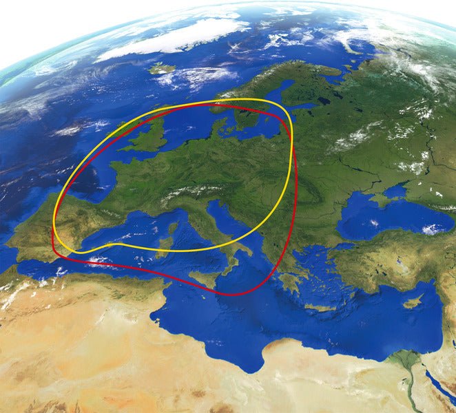Sistem prin satelit Caro Vision fara receptor - EVONomad