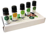 Totalcool Fresh 5x10ml ulei - EVONomad